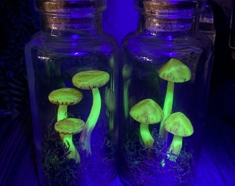 Tall Glow Mushroom Jars - Trixi’s Twisted Wands