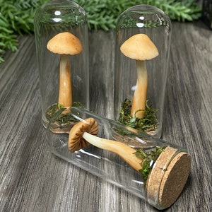 Mini Leuchtpilz Phiole - Trixi’s Twisted Wonders