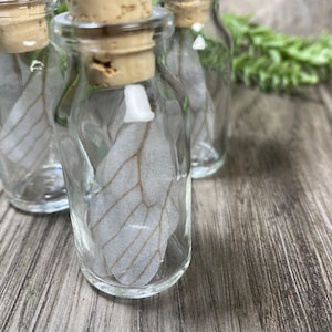Mini Fairy Wing Bottle - Trixi’s Twisted Wonders
