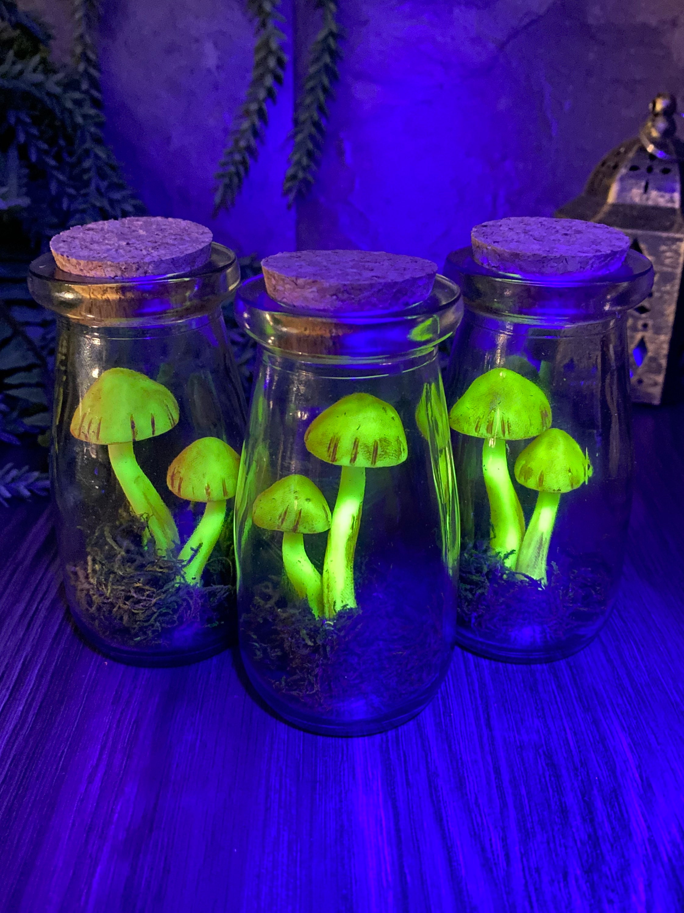 Glow Medium Mushroom Jar Trixis Twisted Wonders 