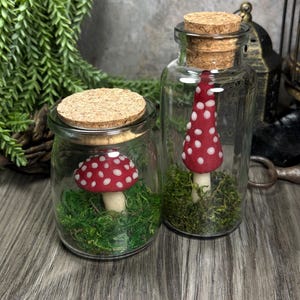 Puede incluir: Dos frascos de vidrio con tapones de corcho, cada uno con una seta en miniatura. Las setas tienen sombreros rojos con lunares blancos y están sobre musgo verde. Los frascos transparentes permiten una visibilidad total.