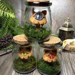 Puede incluir: Tres frascos de vidrio con tapas de corcho, cada uno contiene una escultura de hongo caprichosa con un ojo. Los hongos son de color marrón claro con ojos detallados en azul, verde y rojo. Los frascos están llenos de musgo verde.