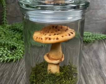 Large Glow Mushroom Apothecary Jar - Trixi’s Twisted Wonders