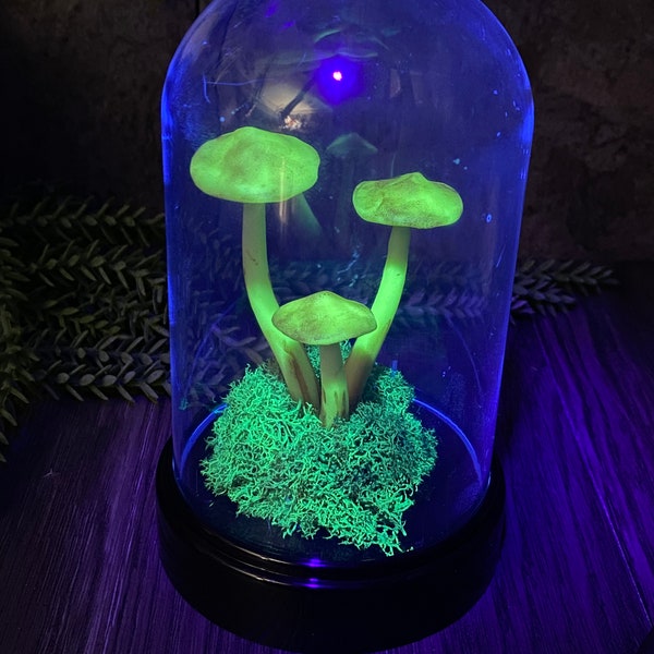 Glow Mushroom Dome - Trixi’s Twisted Wonders