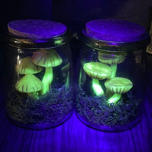 Short Glow Mushroom Jars - Trixi’s Twisted Wands