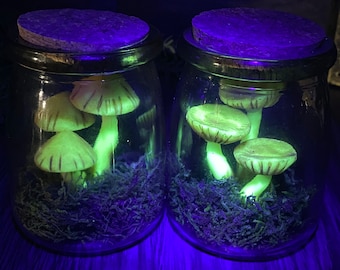 Short Glow Mushroom Jars - Trixi’s Twisted Wands