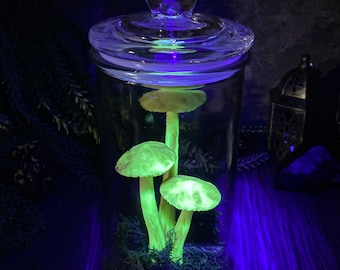 Glow Mushroom Large Apothecary Jar - Trixi’s Twisted Wonders