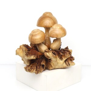 Mushroom Decor Wooden Sculpture, Driftwood Shelf Art, Cottagecore Woodland Decor, Rustic Home Decor, Handmade Nature Display, Botanical Gift