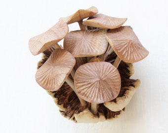 Decorazione murale a forma di fungo, decorazione murale a forma di fungo, foresta, legno intagliato a mano, decorazione per la casa in stile bosco, fungo in legno fatato, regalo per il giorno del Ringraziamento, regalo di San Valentino