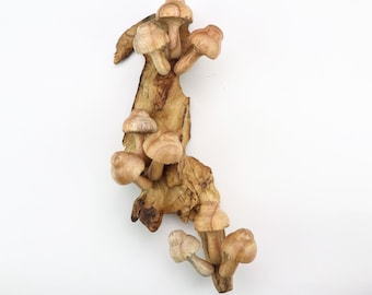 Hand Carved Wood Mushroom Wall Art, Natural Fungi Colony Sculpture, Vertical Forest Wall Decor, Unique Botanical Carving, Nature Gift Art
