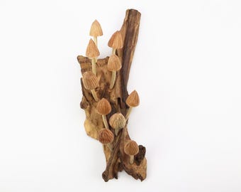 Natural Wood Mushroom Wall Hanging, Hand Carved Fungi Art on Driftwood, Rustic Forest Wall Decor, Unique Botanical Sculpture, Nature Gift