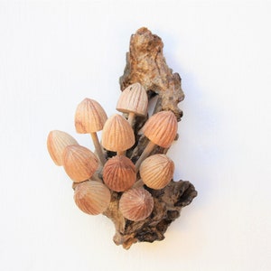 Hand-carved wooden mushroom wall art made from driftwood