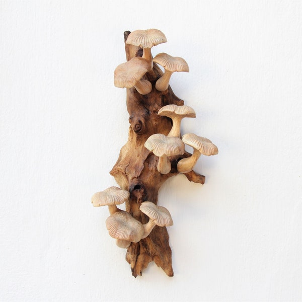 Wandbehang aus Holz Pilz-Deco, Pilz-Wandkunst, handgefertigter Wandbehang, rustikale Natur-inspirierte Kunst, einzigartiges Geschenk, Muttertagsgeschenk.