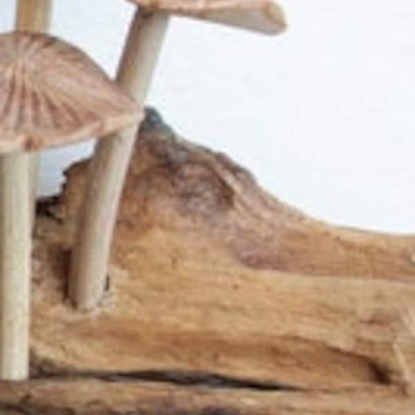 Hölzerne Pilz-Wandkunst, 3D-Skulptur-Wandkunst, Wandteppich-Wandbehang, Wohndekor-Wandkunst, Vintage-Wanddekoration, handgemachtes Dekor, Geschenk für Sie