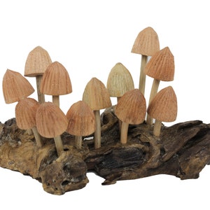 Wooden Mushroom, Table Top Mushroom Deco, Hand Carved Wood, Woodland Home Deco, Fairy Wooden Mushroom, Perfect Gift For Valentine Day Decor