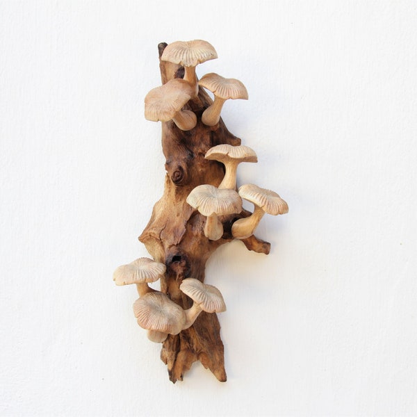 Houten paddestoel kunst aan de muur, bosdecor, sculptuur Cottagecore drijfhout, handgesneden natuurmuur, cadeau rustieke schimmels, handgemaakte kunst
