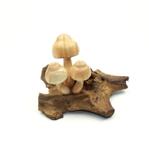 Wooden Mushroom Statue, Unique Gift, Forest Mushroom, Personalize Statue, Nature Deco , Tropical, Wood Carving, Table Top, Valentine Gift
