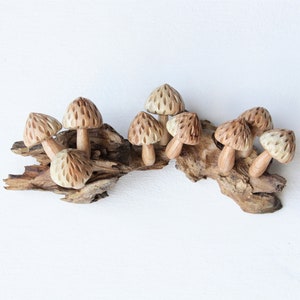 Wooden Mushroom Wall Décor, Mushroom Wood Figurine, Hand Carved Mushroom, Wooden Mushroom Sculpture, Art, Thanksgiving Deco, Christmas Deco