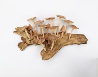 Whimsical Mushroom Wall Art, Woodland Decor, Cottagecore Driftwood Sculpture, Fairycore Forest Room Accent, Handcrafted Nature Wall Hanging