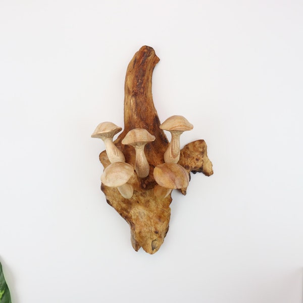 Cottagecore Pilz Wandkunst, Treibholz Pilz Skulptur, Walddekoration, Fairycore Wald Raumakzent, Handgefertigter Wandbehang