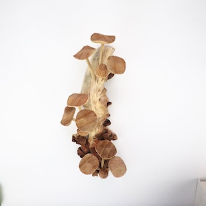 Decoración de pared con forma de hongo de madera tallada a mano, escultura rústica de madera flotante, decoración natural estilo cottagecore, inauguración de la casa, regalos de boda