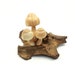 see more listings in the Mushrooms Table Decor section