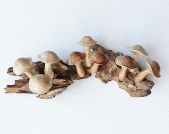 Wooden Mushroom Wall Hanging, Handcrafted Wood Carving, Rustic Home Decoration, Natural Wood Art, Office Deco, Handmade, Mothers Day Gift.