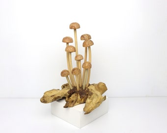 Wooden Mushroom Art Sculpture | Hand Carved Wood Mushrooms | Rustic Driftwood Decor | Woodland Nature Home Accent