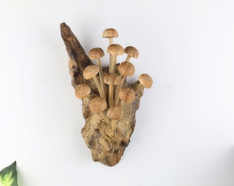 Woodland Decor, Cottagecore Mushroom Wall Art, Forest Wall Decor, Driftwood Mushroom Sculpture, Handcrafted Nature Lover Gift, Fungi Art