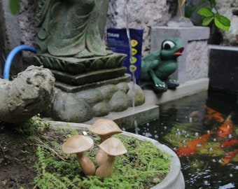May include: A small, concrete planter with wooden mushroom sculptures. The planter is filled with green moss and sits near a pond with koi fish. A green frog statue is visible in the background.