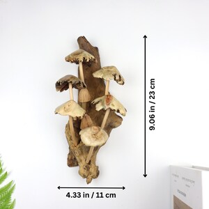 May include: A wooden wall sculpture featuring a cluster of carved mushrooms with brown and beige caps and stems. The sculpture is mounted on a piece of driftwood and measures 9.06 inches tall and 4.33 inches wide.