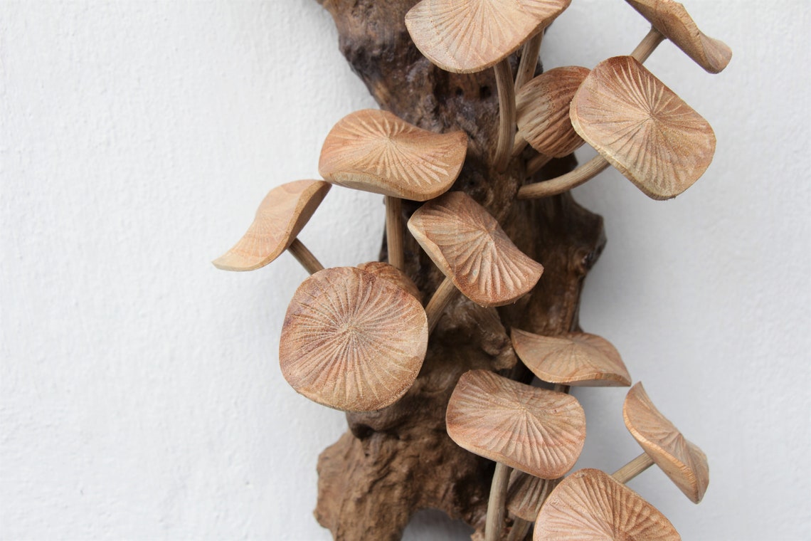 Mushroom Wall Decor Wall Hanging Wall Art Mushroom Art Etsy