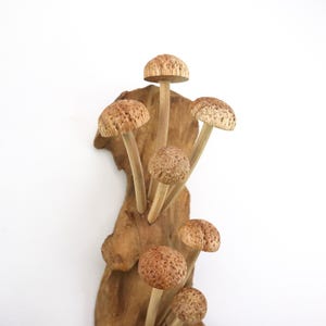 Hand-Carved Wooden Mushroom Wall Art | Driftwood Wall Decor | Rustic Cottagecore Decor | Woodland Fairycore Art | Christmas Gift Idea image 6