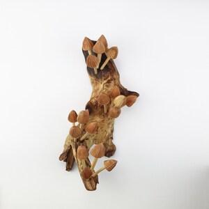 Mushroom Wall Art, Wooden Forest Wall Art, Driftwood Sculpture, Woodland Decor, Artisan Wood Gift, Nature Lover Gift, Wood Anniversary Gift image 3