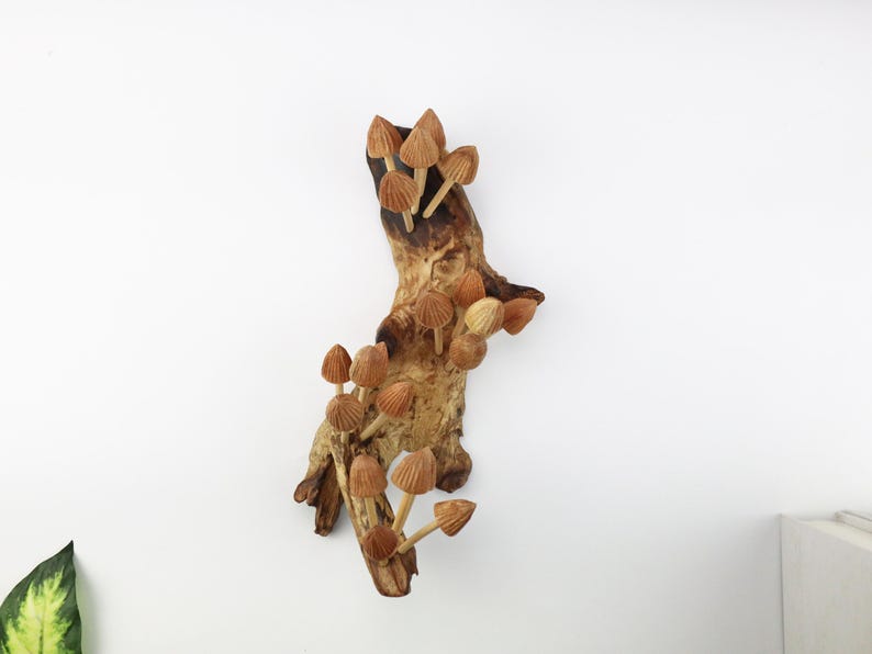 Mushroom Wall Art, Wooden Forest Wall Art, Driftwood Sculpture, Woodland Decor, Artisan Wood Gift, Nature Lover Gift, Wood Anniversary Gift image 3