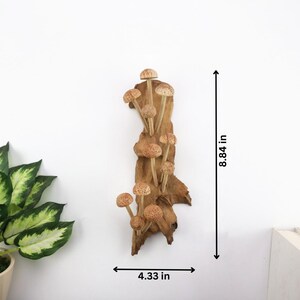 Hand-Carved Wooden Mushroom Wall Art | Driftwood Wall Decor | Rustic Cottagecore Decor | Woodland Fairycore Art | Christmas Gift Idea image 10