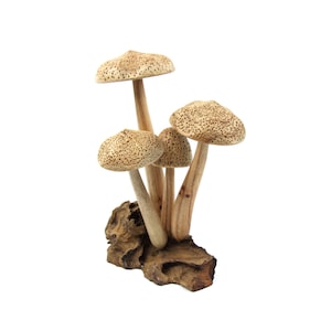 Wood Mushroom Sculpture, Forest, Nature, Hand Carved Statue, Wood Carving, Art, Garden Deco, Unique Figurine, Birthday, Valentine Home Decor
