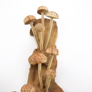 Hand-Carved Wooden Mushroom Wall Art | Driftwood Wall Decor | Rustic Cottagecore Decor | Woodland Fairycore Art | Christmas Gift Idea image 7