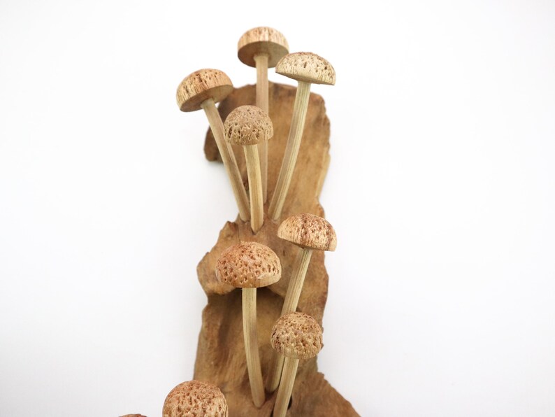 Hand-Carved Wooden Mushroom Wall Art | Driftwood Wall Decor | Rustic Cottagecore Decor | Woodland Fairycore Art | Christmas Gift Idea image 7