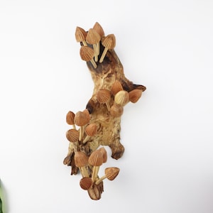 Mushroom Wall Art, Wooden Forest Wall Art, Driftwood Sculpture, Woodland Decor, Artisan Wood Gift, Nature Lover Gift, Wood Anniversary Gift image 1
