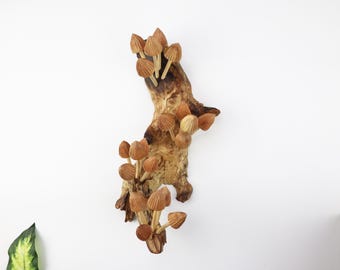 Mushroom Wall Art, Wooden Forest Wall Art, Driftwood Sculpture, Woodland Decor, Artisan Wood Gift, Nature Lover Gift, Wood Anniversary Gift