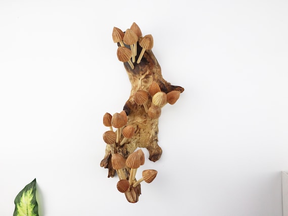 Wooden Mushroom Wall Art | Rustic Driftwood Sculpture | Woodland Wall Hanging | Handmade Christmas Gift