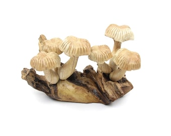 Può includere: Una scultura in legno di un gruppo di funghi che crescono su un pezzo di legno galleggiante. I funghi sono scolpiti in uno stile realistico e hanno un colore marrone chiaro.