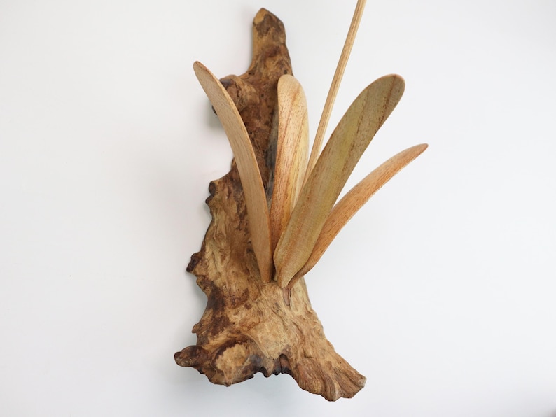 May include: A wooden wall sculpture with a natural brown driftwood base and multiple thin, light brown wooden blades extending upwards.
