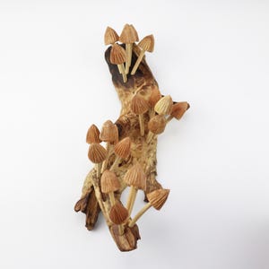Mushroom Wall Art, Wooden Forest Wall Art, Driftwood Sculpture, Woodland Decor, Artisan Wood Gift, Nature Lover Gift, Wood Anniversary Gift image 5