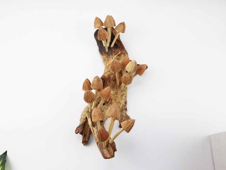 Mushroom Wall Art, Wooden Forest Wall Art, Driftwood Sculpture, Woodland Decor, Artisan Wood Gift, Nature Lover Gift, Wood Anniversary Gift image 5