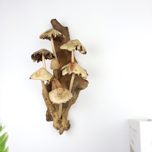 May include: A wooden wall sculpture featuring a cluster of carved mushrooms with brown and beige caps and stems. The mushrooms are attached to a piece of driftwood with a natural brown color.