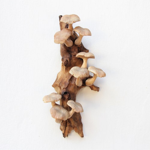 Wooden Mushroom Wall Art, Woodland Decor, Cottagecore Driftwood Sculpture, Hand-Carved Nature Wall Hanging, Rustic Fungi Gift, Handmade Art