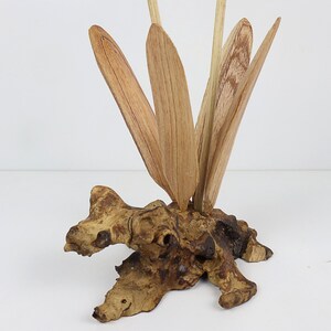 May include: A wooden sculpture of a plant with long, thin leaves. The leaves are made of natural wood and are arranged in a fan shape. The sculpture is mounted on a piece of driftwood.
