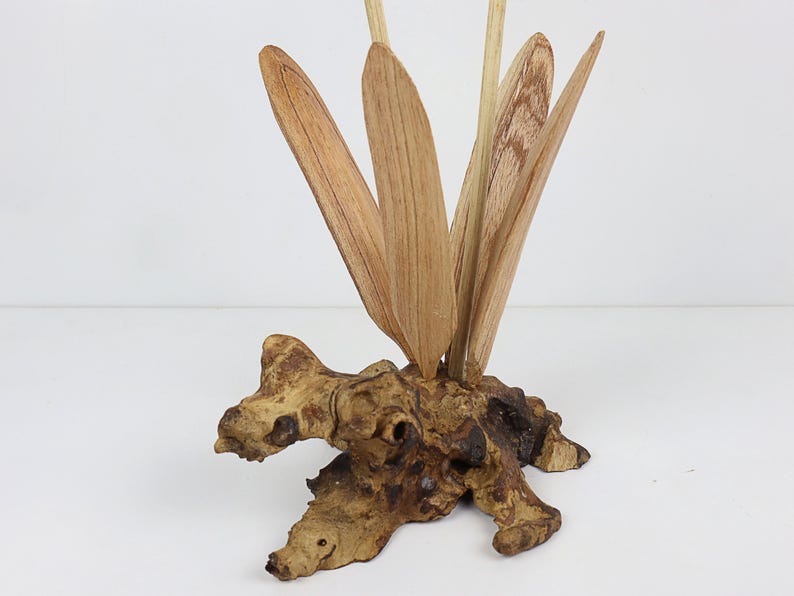 May include: A wooden sculpture of a plant with long, thin leaves. The leaves are made of natural wood and are arranged in a fan shape. The sculpture is mounted on a piece of driftwood.